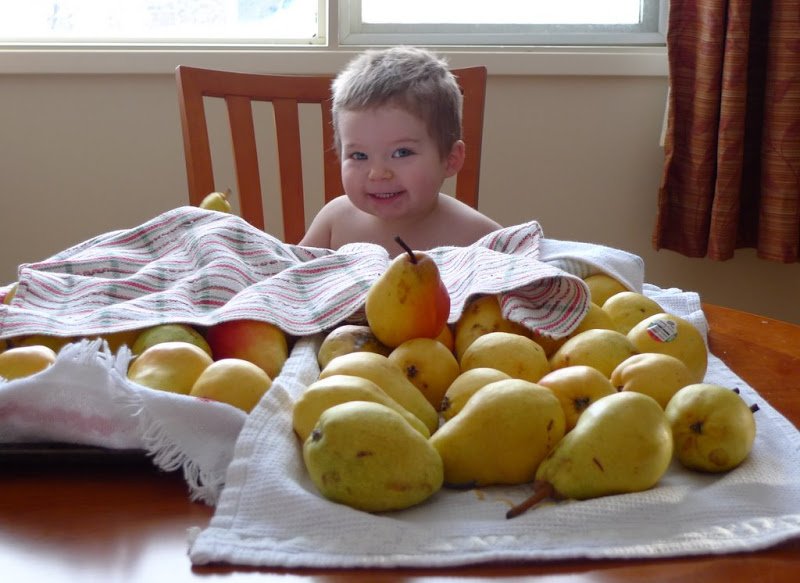 Canning Pears