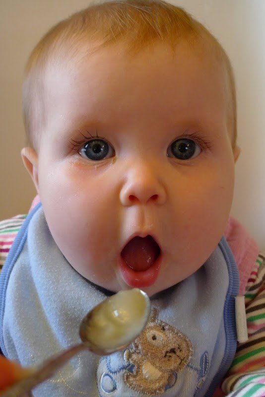 Making Affordable Organic Baby Food