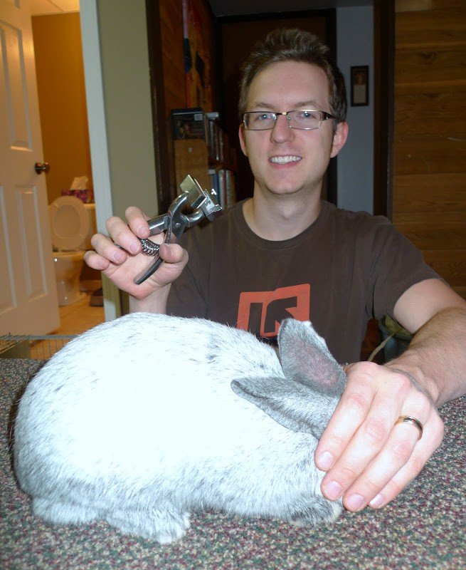 Tattooing Rabbit Ears