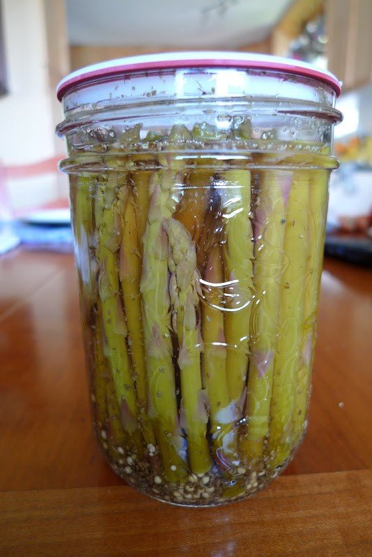 Pickled Asparagus