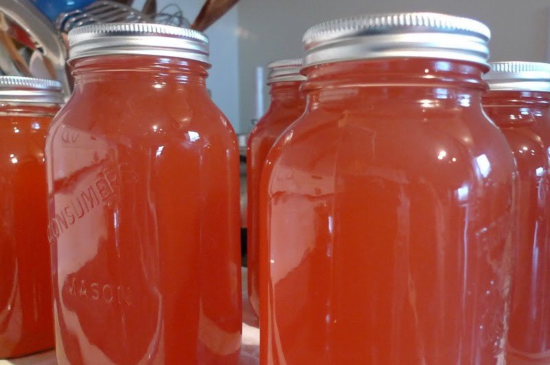 Apple Picking Time + Preserving Apples