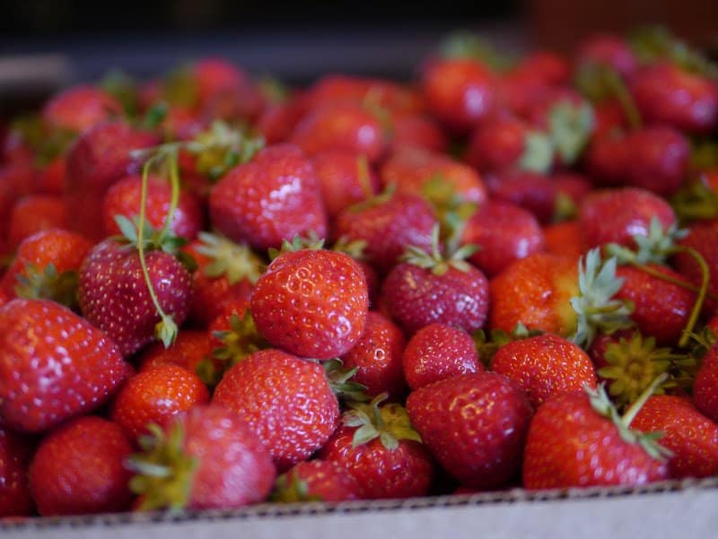 Preserving the Bounty from Covert Farms