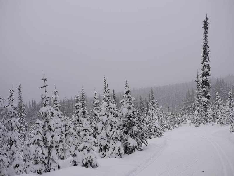 Cross Country Skiing as a Family
