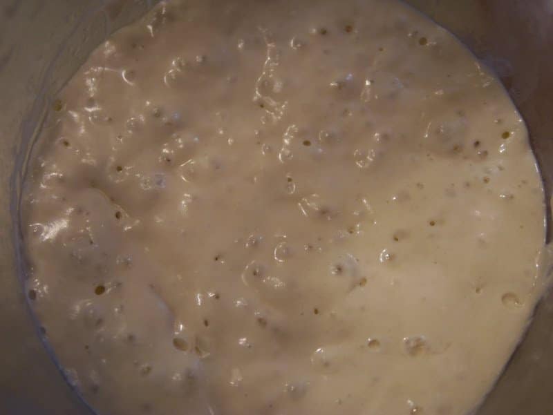 Sourdough Bread Recipe: More Feeding (Day 2)