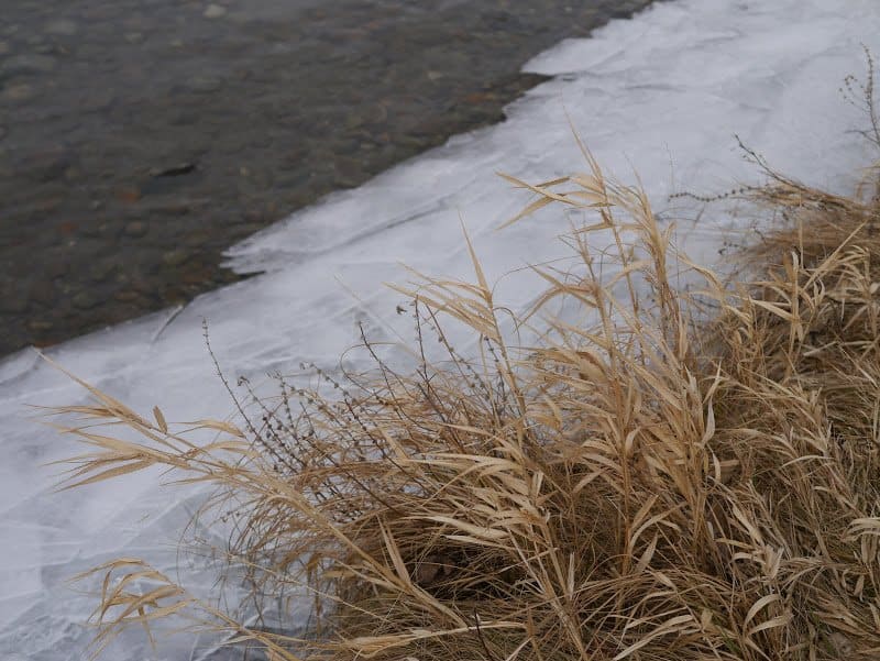 The First Day of Lent