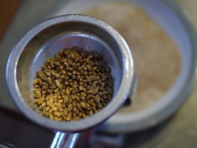 Whole Wheat Sourdough Bread Recipe