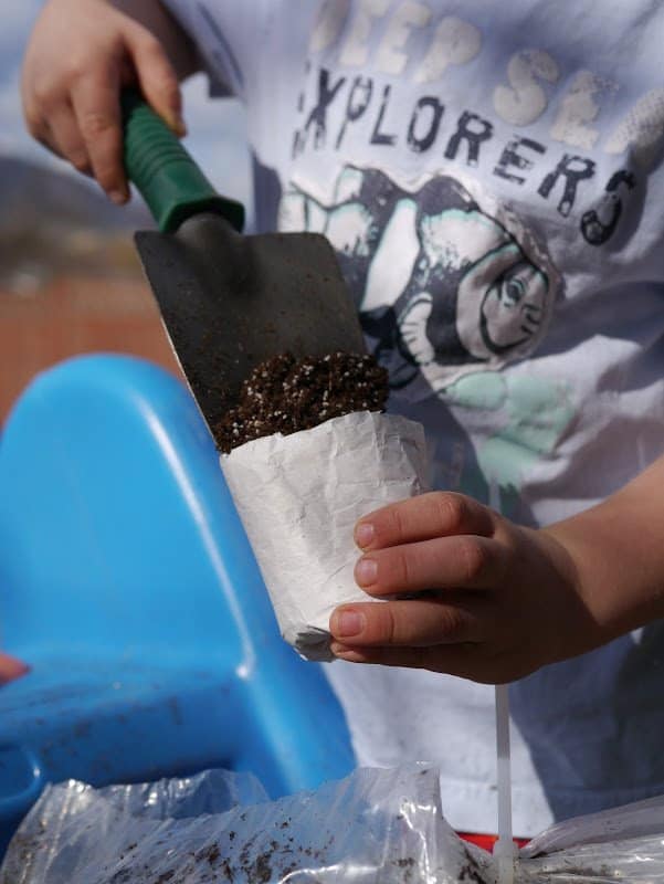 Starting Seeds Indoors – Part 1