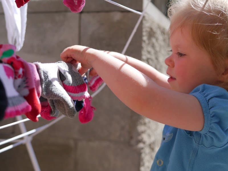 Seven Quick Takes Friday