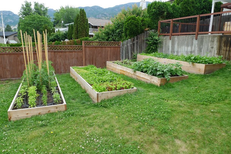 Garden Journal (vol. 7) – Guest Post