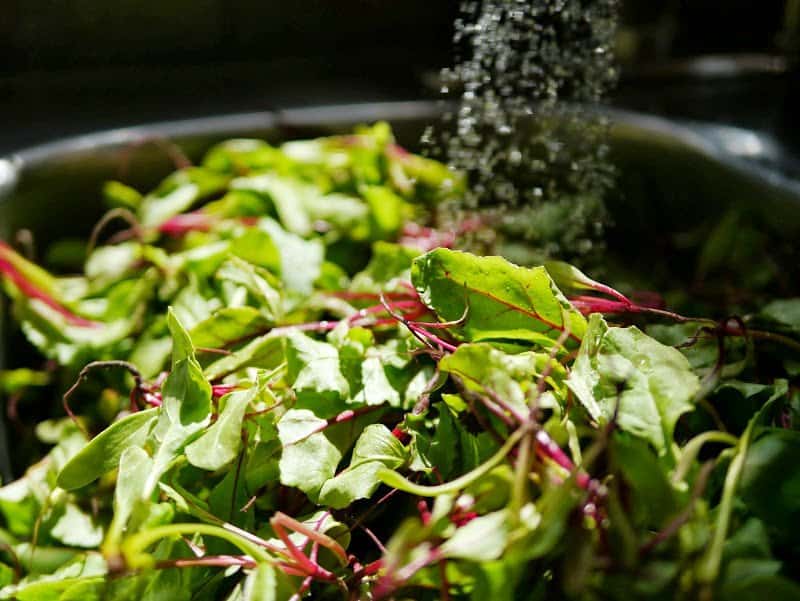 Baby Beet Greens and Goat Cheese Pizza
