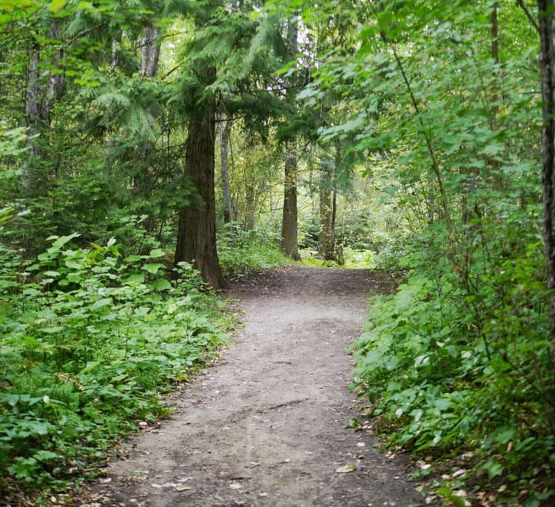 Camping with Little Children: A Reflection