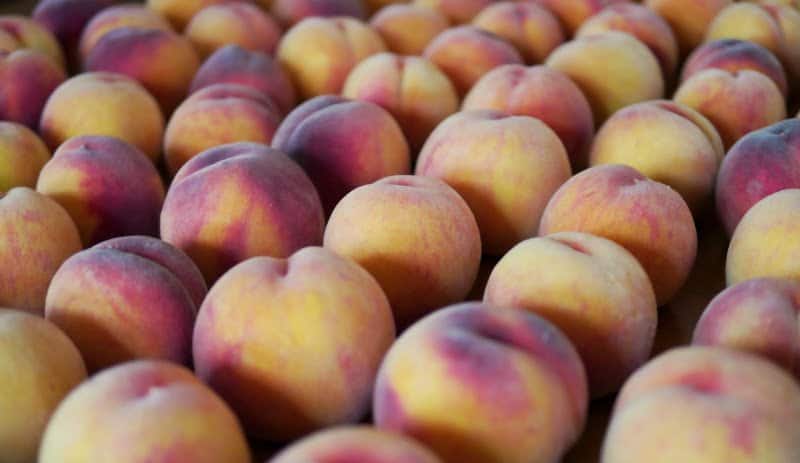 How to Can Peaches