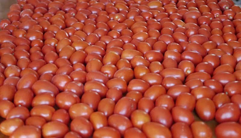 How to Can Tomato Sauce