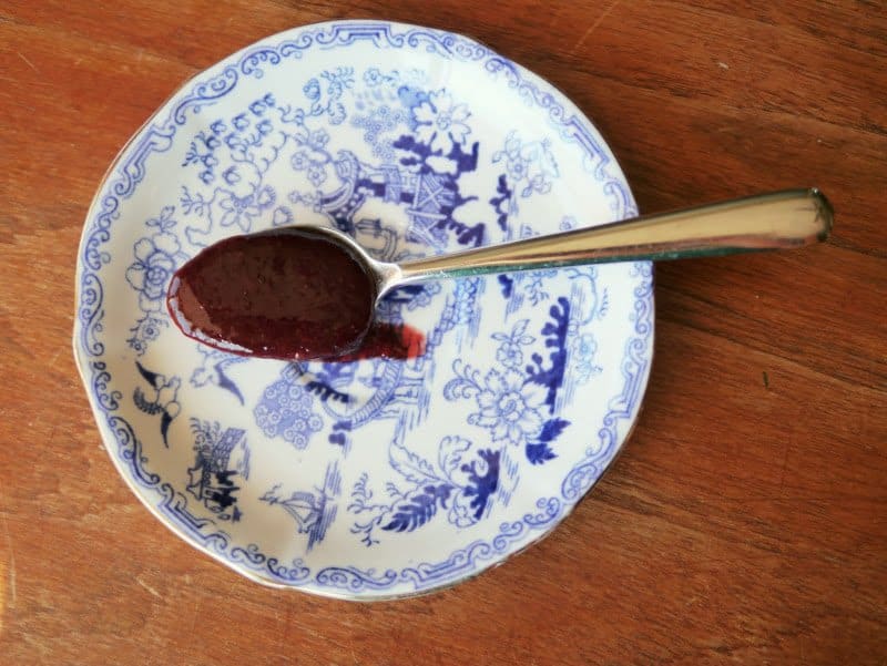 Chinese Plum Sauce 2.0