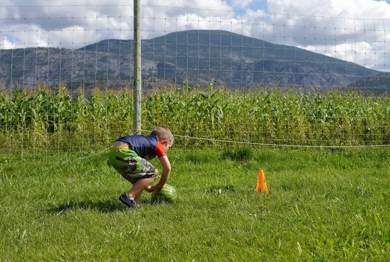 Freak’n Little Farmers