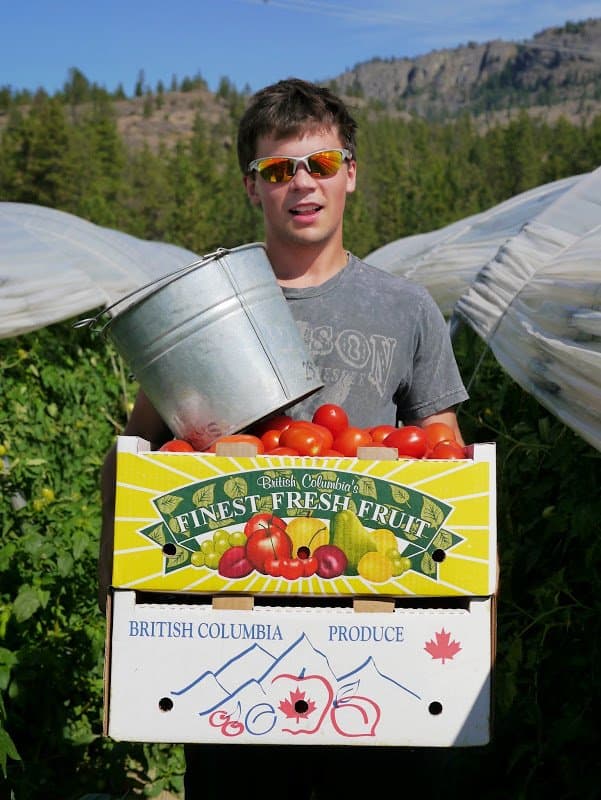 How to Can Crushed Tomatoes