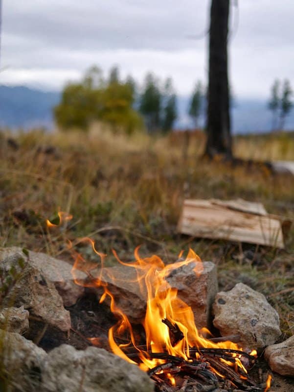Building a Wilderness Survival Shelter