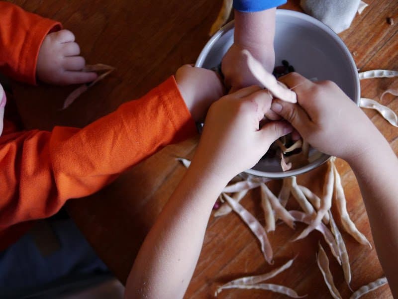 We are Home Learners