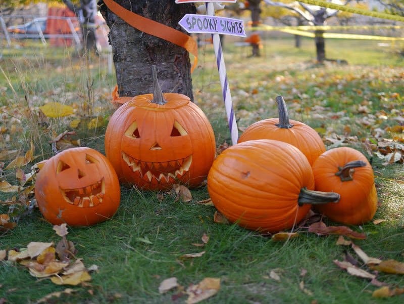 Celebrating All Hallow’s Eve