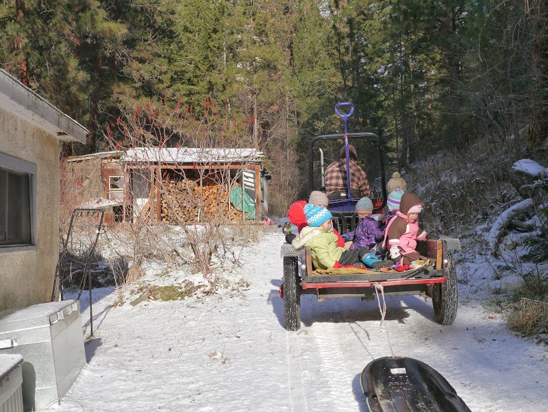 Winter Play at the Farm