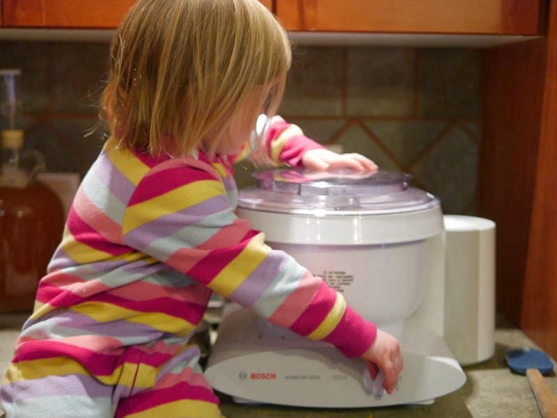 The Gingerbread House