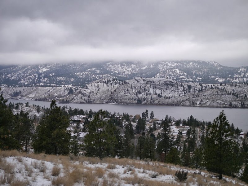 A New Year and a New Word