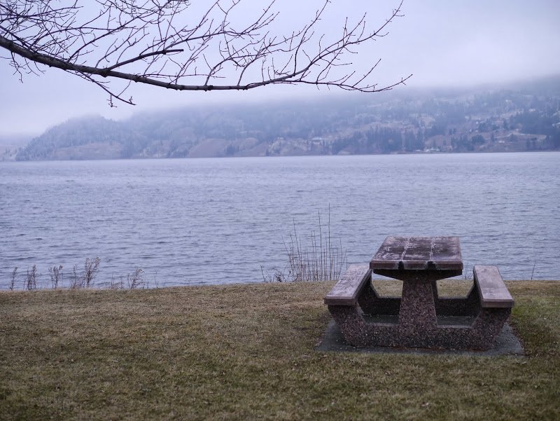 Treating Headaches with Essential Oils