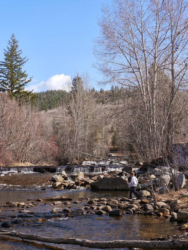 Early Signs of Spring