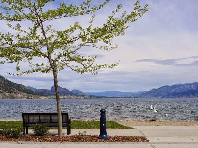 An Open Letter to My Tribe