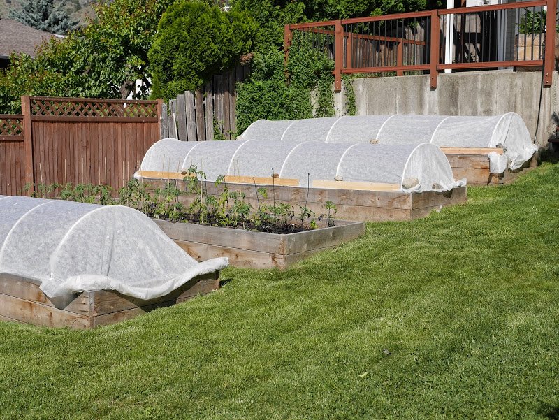 Garden Journal (yr 2: vol 5)