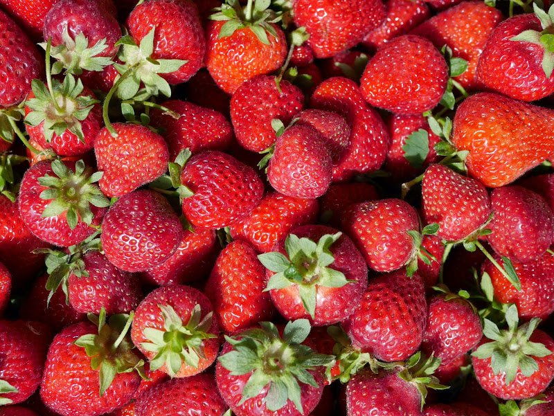 A Day of U-Picking in the South Okanagan
