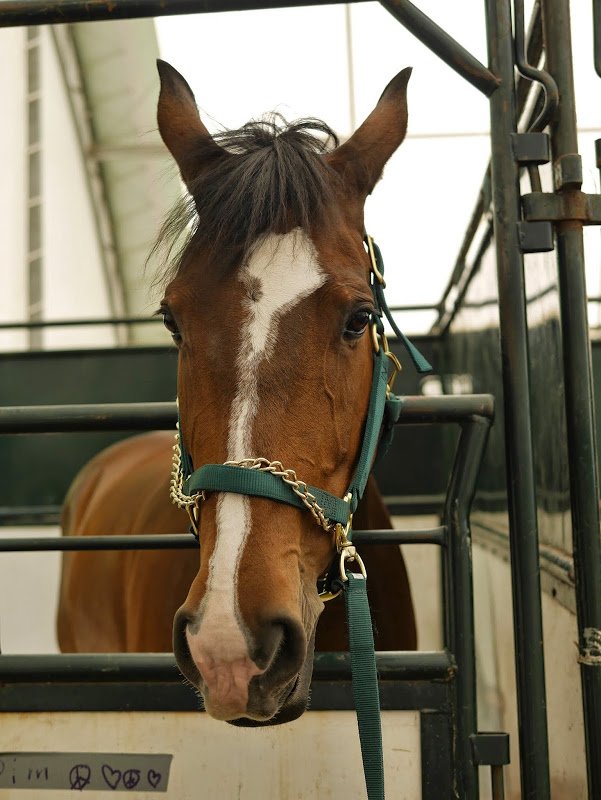 Visiting a Premier Equestrian Facility