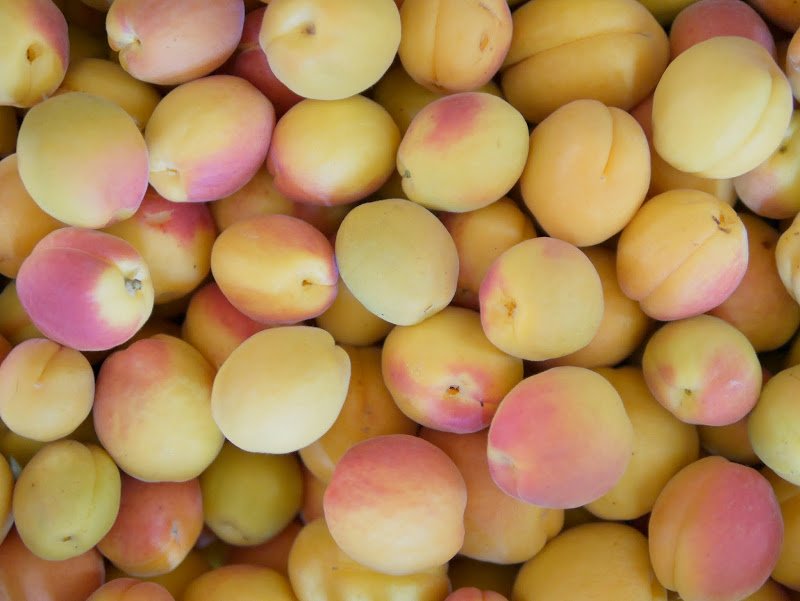 Apricot Vanilla Bean Jam