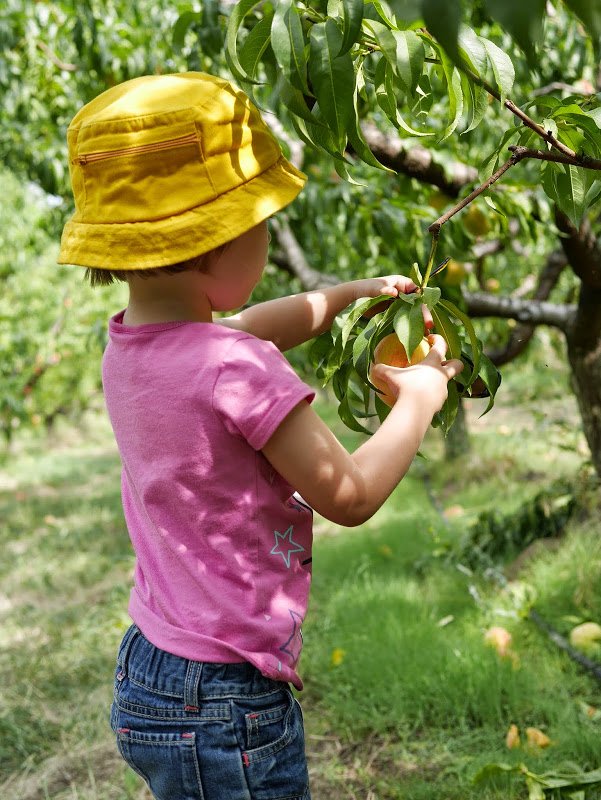 The Canning Marathon