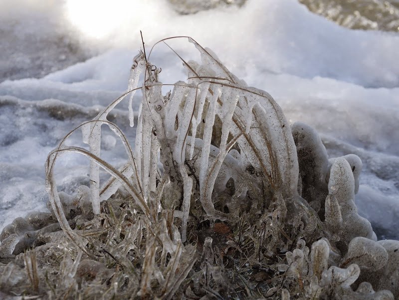 Magical Ice Formations