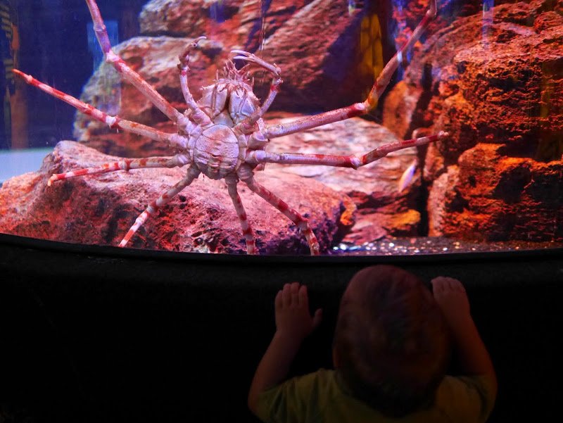 Bangkok Sea Life Ocean World