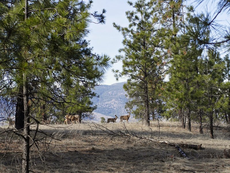 Shifts and Changes: Home Learning 2014/2015