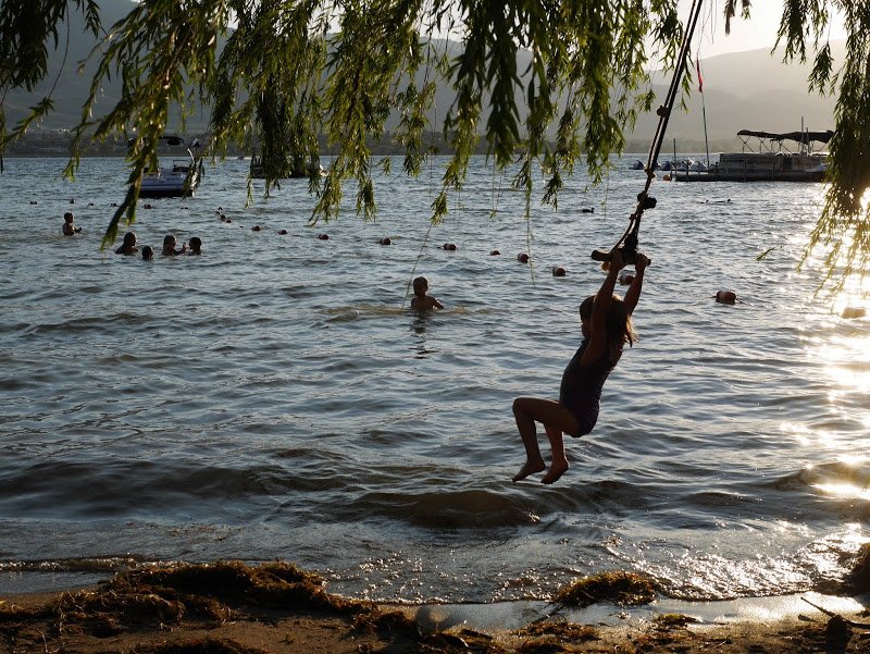 A Concert on the Beach