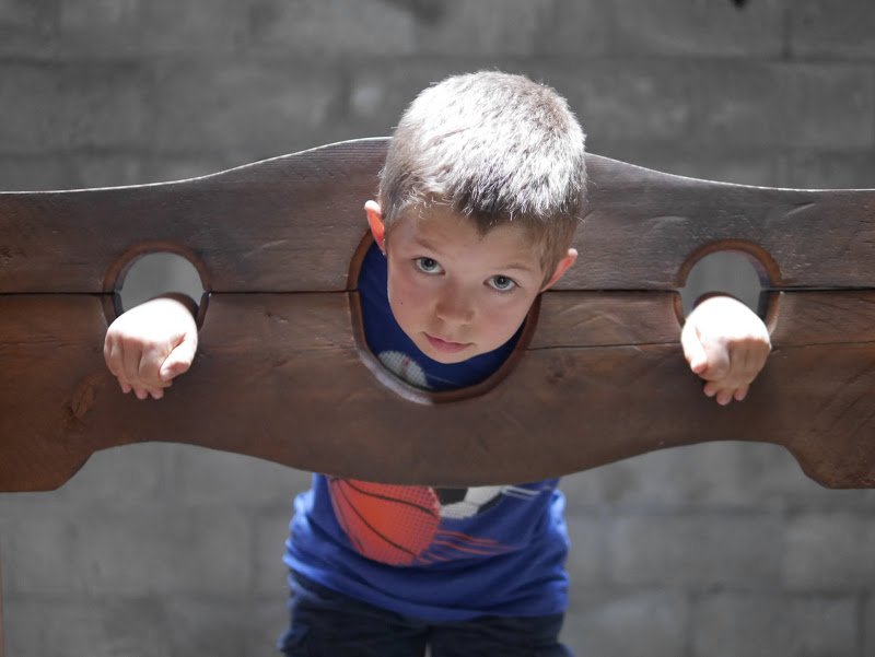 The Enchanted Forest