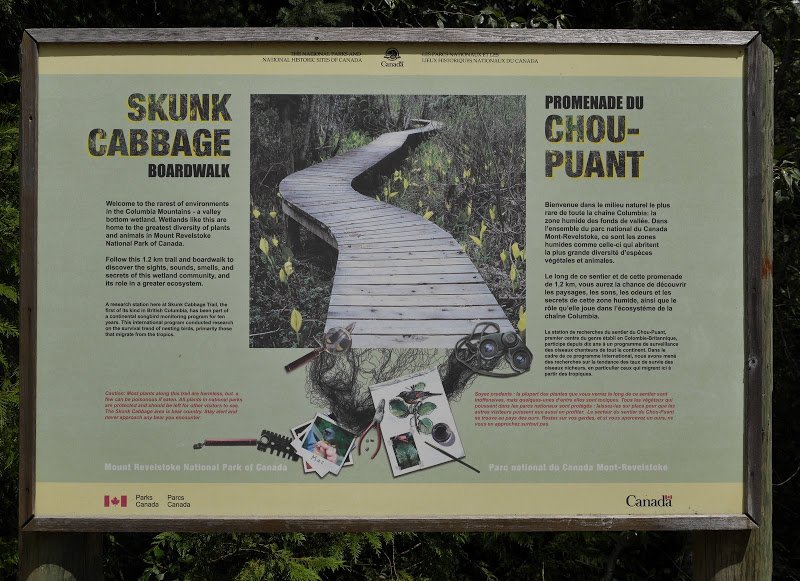 Skunk Cabbage Boardwalk