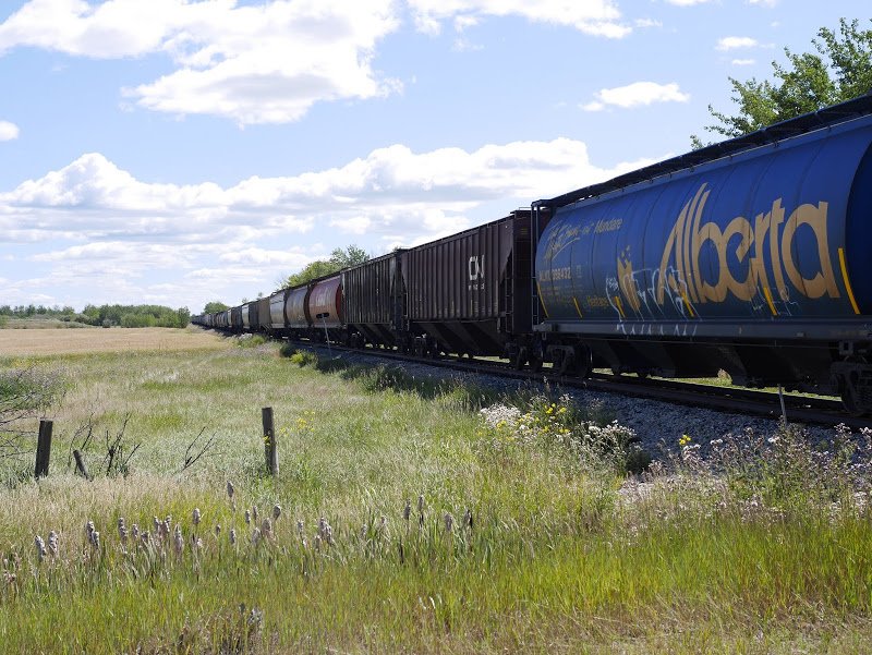 Apiaries in Northern Alberta