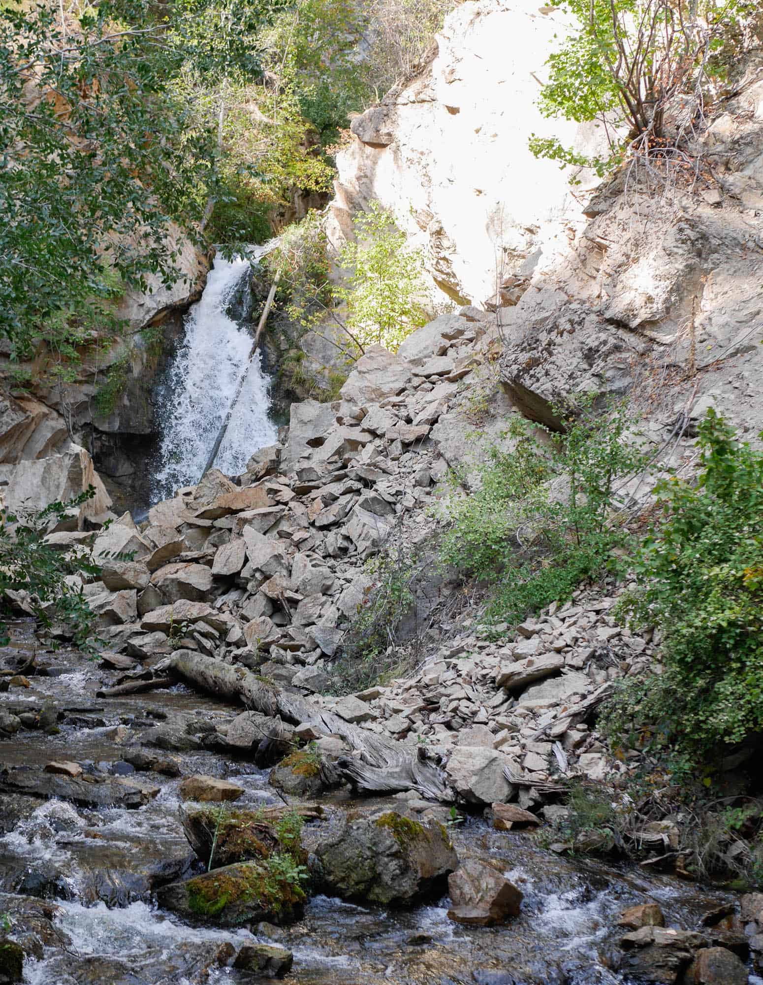 Watching the Salmon Spawn at Hardy Falls in Peachland, BC