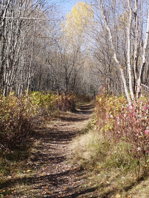 Ferguson Lake Nature Reserve
