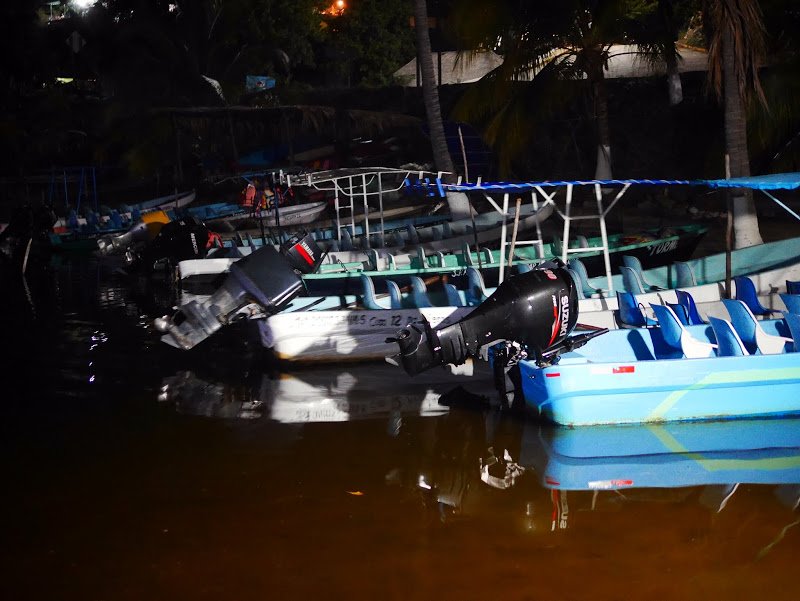 Phosphorescent Plankton, Manialtepec Lagoon