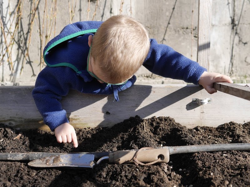 Garden Journal (yr 4: vol 1)