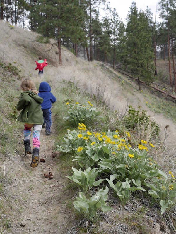 Spring in the South Okanagan