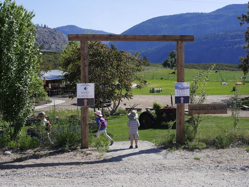 Hiking McIntyre Bluff