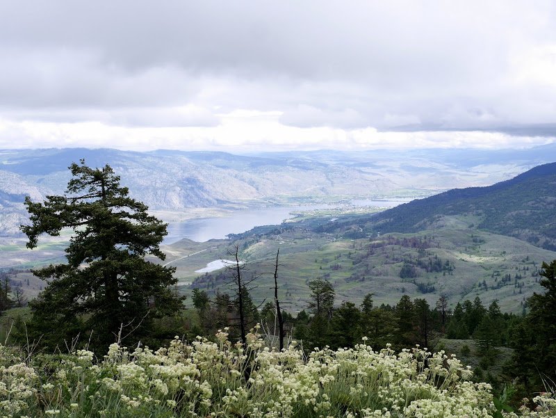 Hiking Mount Kobau: Testalinden Trail
