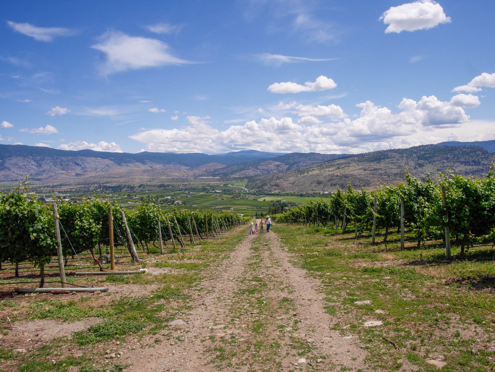 Hiking the Golden Mile Stamp Mill Trail