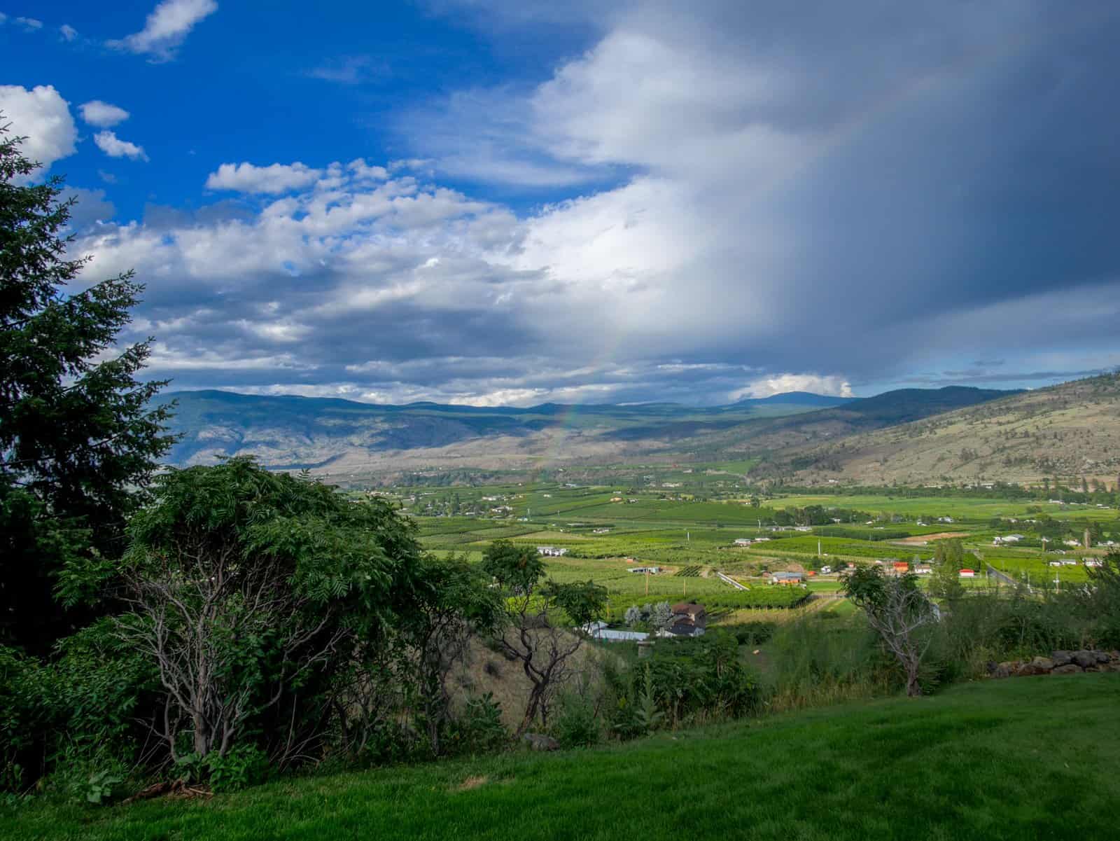 A Crush on Tinhorn Creek Vineyards